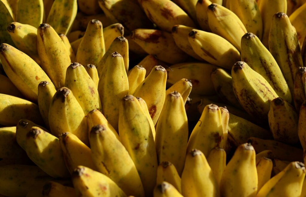 Banan – ile ma kcal? Kalorie, makro i wartości odżywcze dojrzałego banana 2 Ile błonnika, potasu, witaminy B6 i C dostarcza banan?
