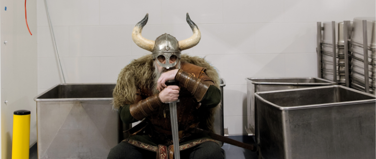 nowa kuchnia Vikinga