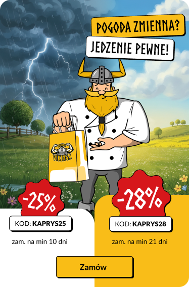 Wiosna - baner promocje - pionowo