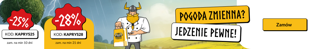 Wiosna - baner promocje - poziomo-2